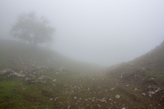 Montée dans le brouillard. Le sommet sera difficile à trouver...